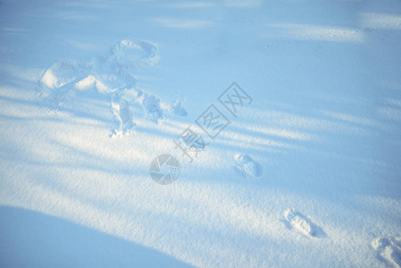 阳光明媚的天雪图片