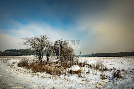 冬雪田和雾日美丽的欧洲冬季风景加图片