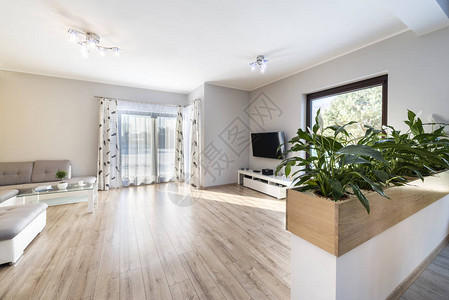 室内现代客厅用木地板和花图片