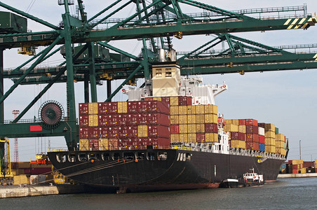 港口码头的集装箱货轮由大图片