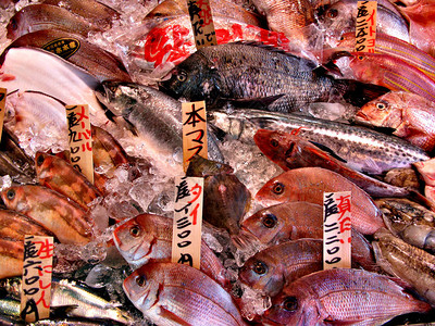日本鱼市展示的海产图片