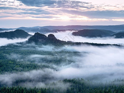 山雾蓝雨量大雨夜后夏日森林树顶因雾而增背景图片