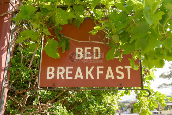 带藤叶的床和早餐挂牌图片