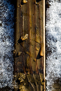 冬季的雪背景木图片