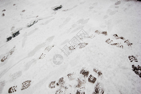 雪背景上的脚印图片