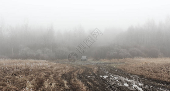 在寒冷雾的天气上自然图片