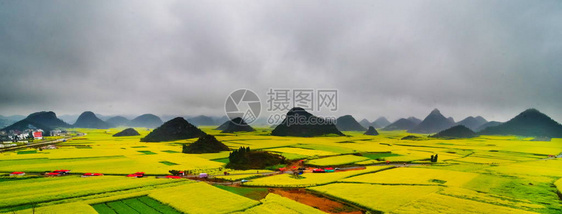 Canola田地Luoping带烟雾的图片