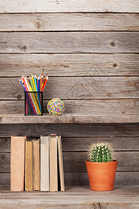 木架铅笔和仙人掌植物上的旧书背景图片