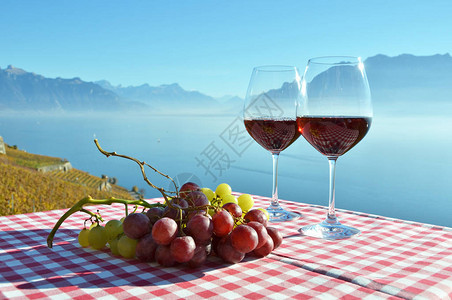 与瑞士日内瓦湖惊人的景色对抗玻璃和葡图片