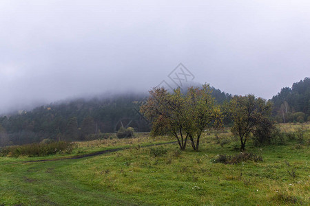 山中晨雾景观图片