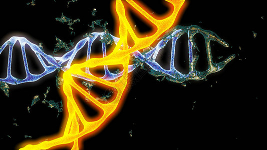 染色体DNA基因3D转化图片
