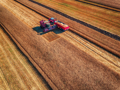 集成收割农机采集金熟麦芽小麦纤背景图片