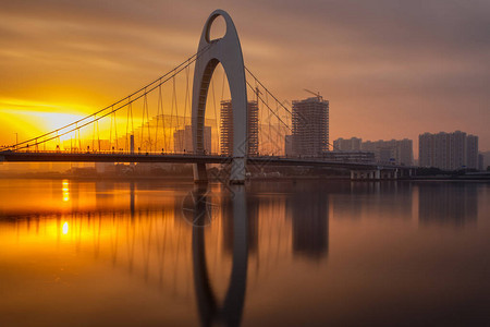 广州市珠江现代桥与金融区现代建筑图片