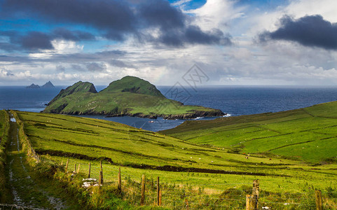 Skellig群岛Puffin岛爱尔兰Ker图片