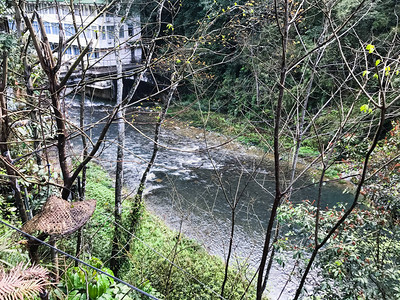 春季前往长城温泉森林公园长生温泉小河图片