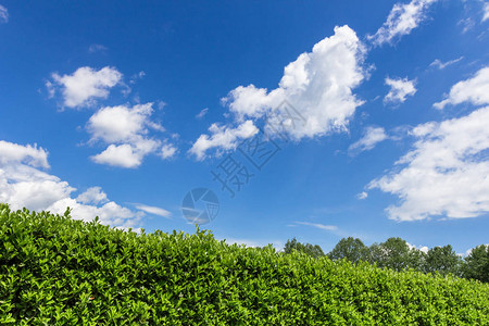 明亮蓝晴的天空背图片