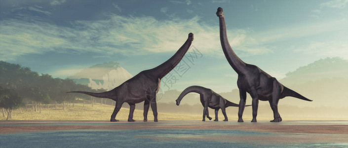 恐龙家族无脊椎龙这背景图片
