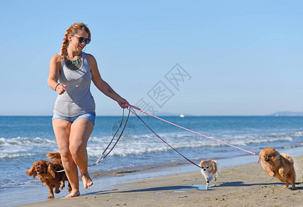 在沙滩上散步的女人和狗背景图片