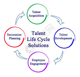 人才生命周期解决方案背景图片