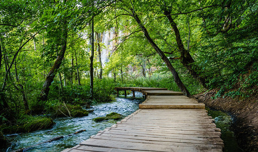 克罗地亚普利维茨湖公园一小溪旁有绿树的小溪边图片