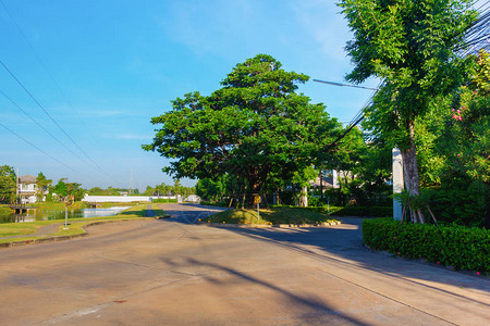 大树村水泥路背景图片