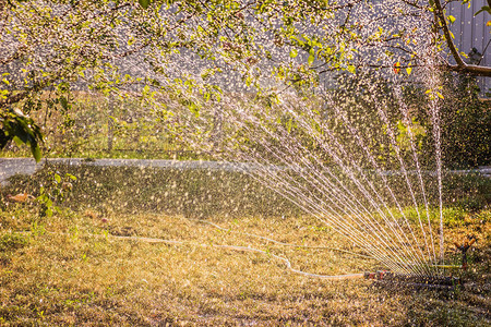 灌溉花园装置灌溉系统在花园里浇水的技术草坪洒水器在图片