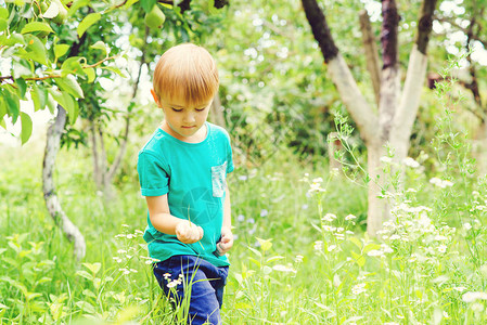 奇怪的金发男孩在花园里抓昆虫可爱的孩子在图片