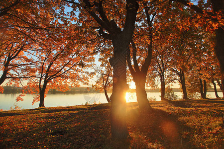 俄罗斯湖上美丽的秋日落图片