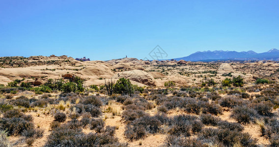 美国犹他州沙漠摩押死气沉的石头沙漠图片