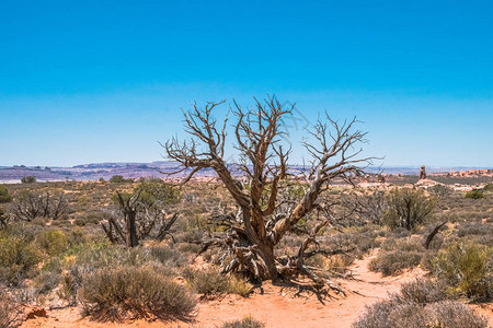 自然现象沙漠景观Moab图片