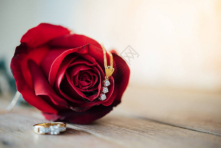 花园里的红玫瑰花自然美丽的花朵和钻石项链钻石戒指配件图片