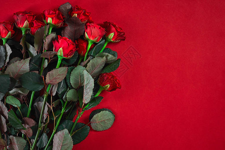 在红色背景上为情人节和爱情主题特写美丽的红玫瑰花束顶视图复制空间背景图片