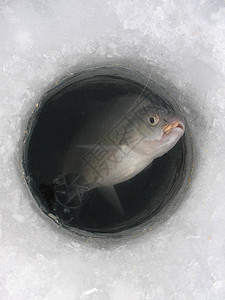 在湖上冬季捕鱼背景图片