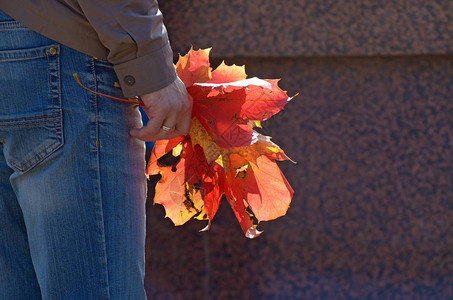 男人手中的枫叶秋天的树叶很美图片