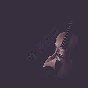 Violin乐器乐团的乐器图片