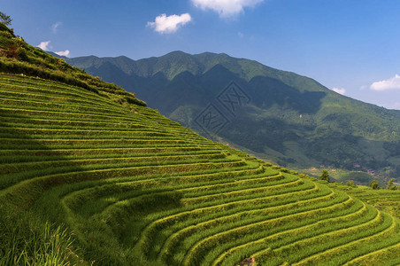 广西大寨村附近龙胜梯田的美景图片