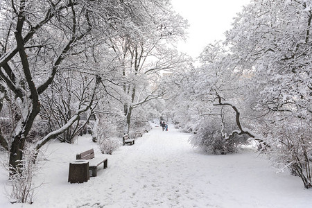 在格丁尼亚大雪降下期间图片