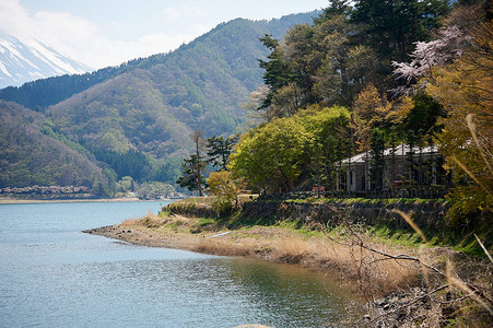 春天的海岸日本河口湖图片