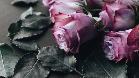 黑色背景上的美丽粉红玫瑰花束图片