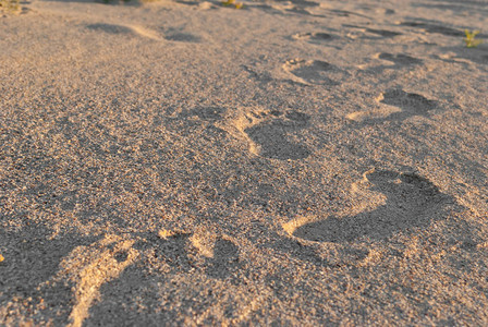 沙滩上男人脚印的脚印图片