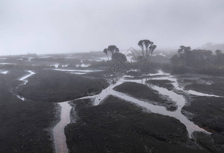 委内瑞拉罗赖马山的雾和雨图片