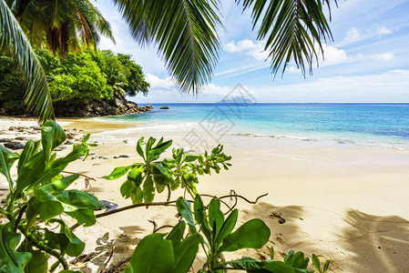 塞舌尔天堂热带海滩上的金色沙滩绿松石水花岗岩和图片