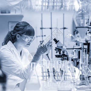生命科学家在实验室研究专注于女科学专业移液解决方案到玻璃比色皿中镜头专注于移液器医疗保健和生物技术灰度蓝图片