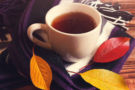 秋香清茶有温暖的围巾图片