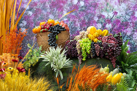 装饰人造植物和水果图片