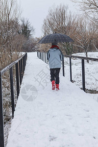 雪橇走在白雪皑的公园背景