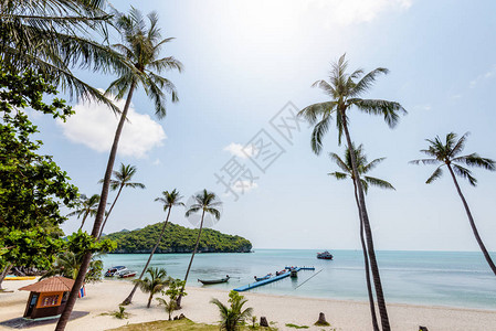 苏通长江大桥KoWuaTaLap岛海滩和大海上美丽的自然景观椰子树泰国素叻府MuAngThong海洋公园背景