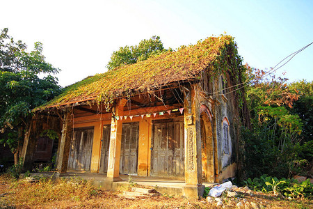 长满草的老建筑图片