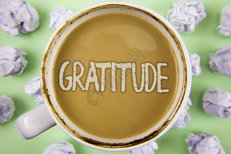 手写文本感谢概念意义感恩的品质感恩承认在皱巴的纸球纯绿色背景中图片