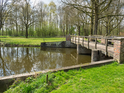 荷兰的春天背景图片